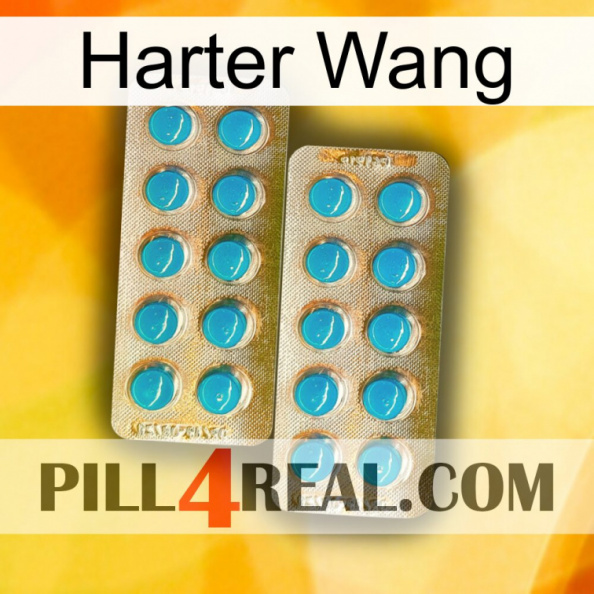 Hard Wang new08